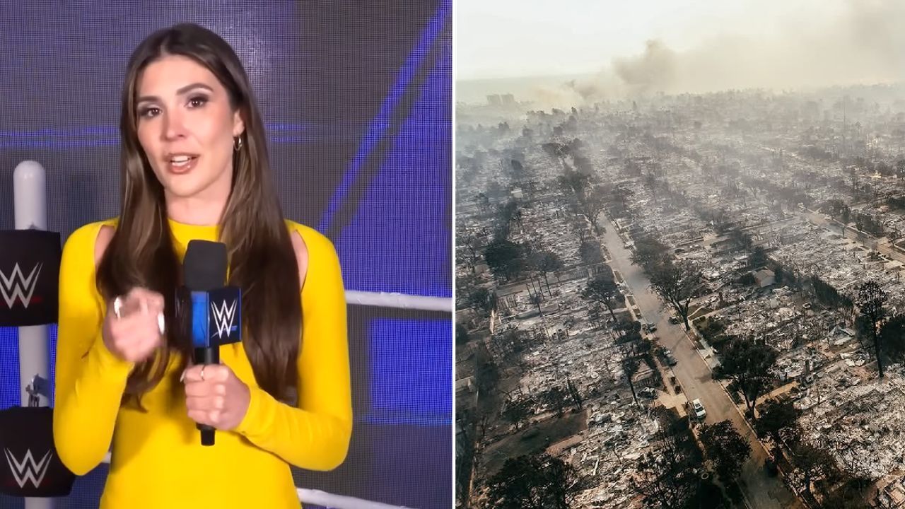 Cathy Kelley responded to the picture of the ruined Palisades with a heartbreaking update (via WWE