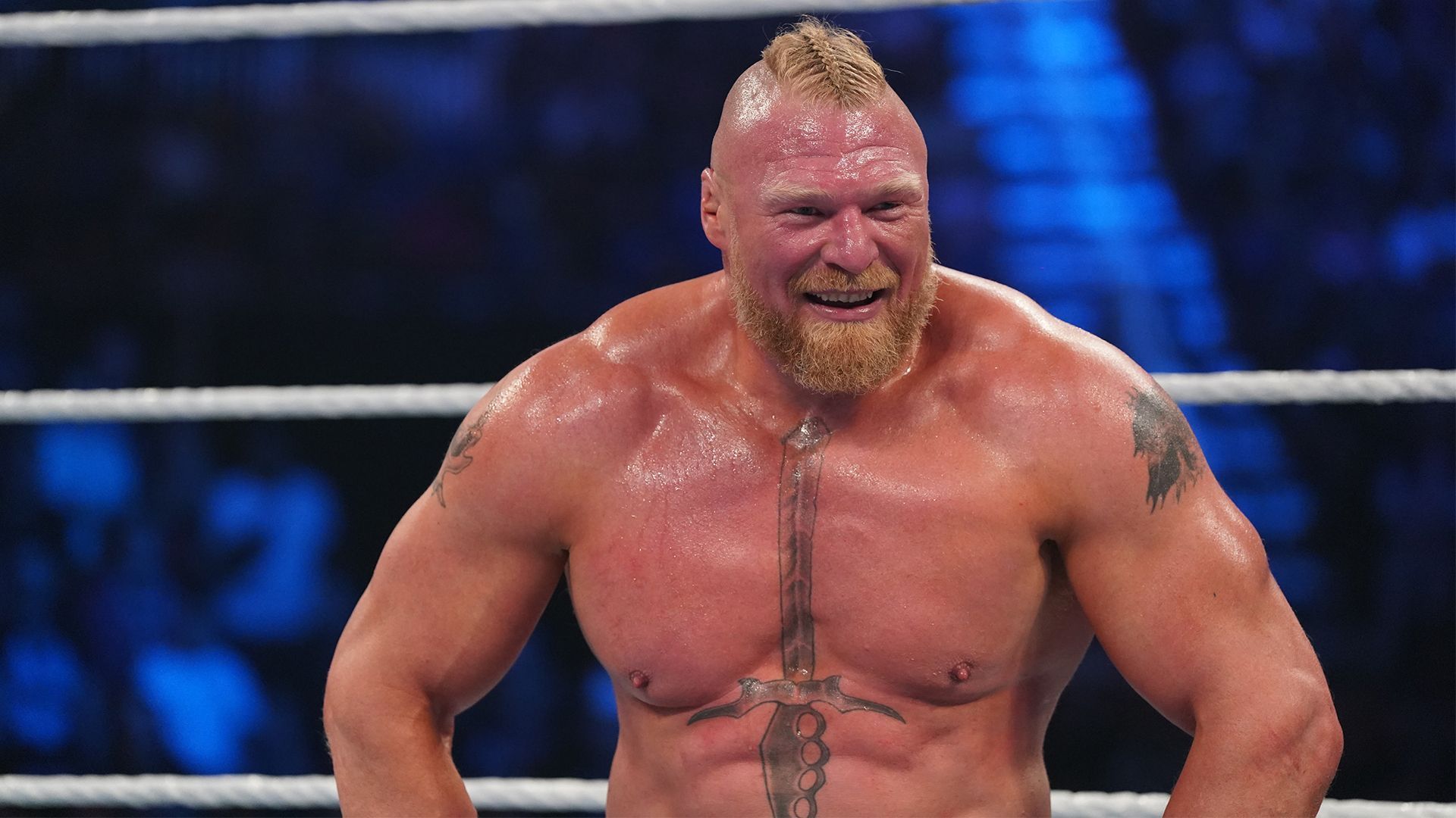 Brock Lesnar and other WWE stars might not be in the Royal Rumble Match [Credit: WWE.com]