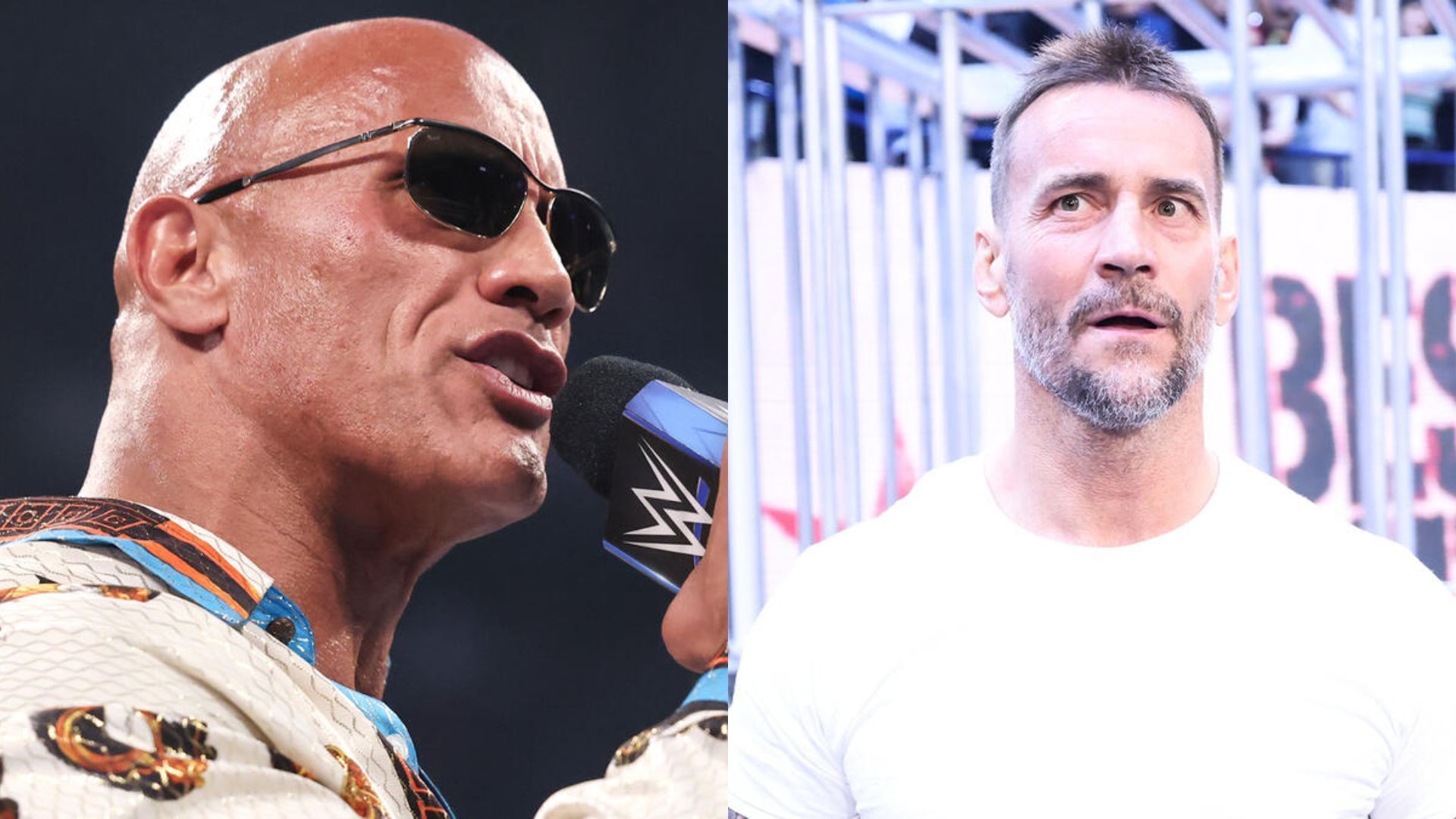 The Rock on the left and CM Punk on the right (Image Credits: WWE.com)