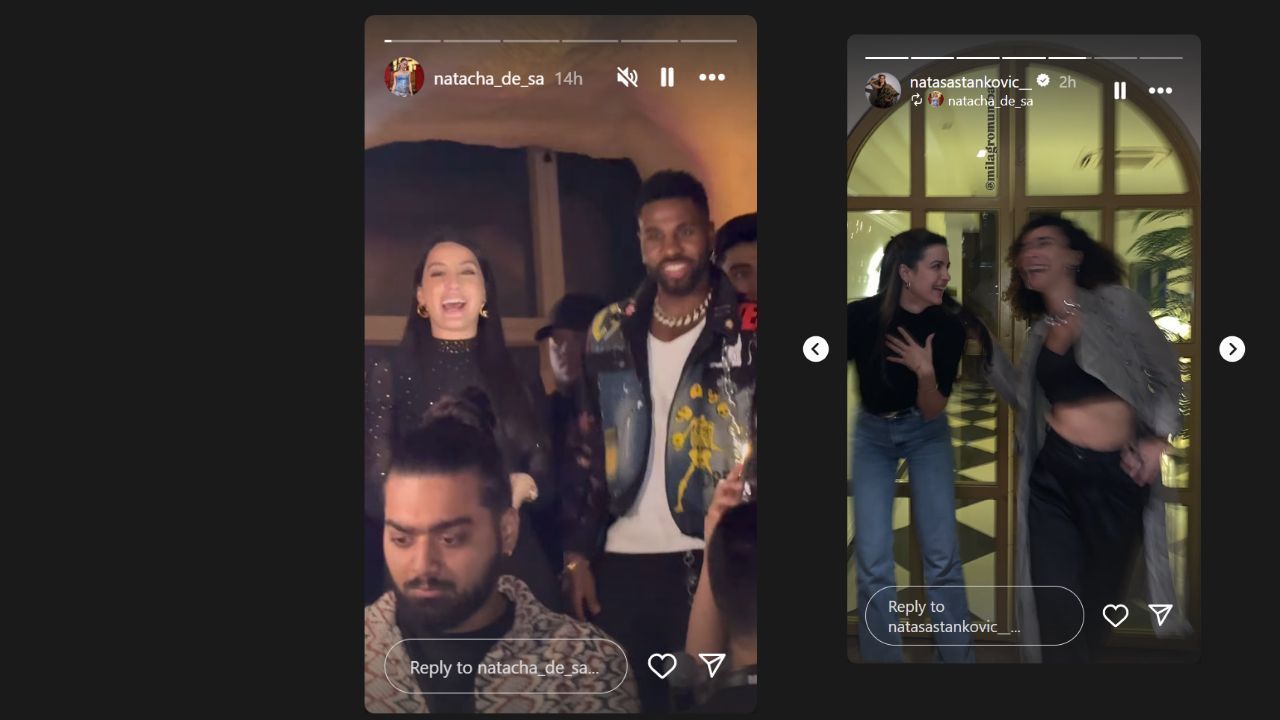 नताशा स्टेनकोविक ने शेयर की इंस्टाग्राम स्टोरी (photo credit: instagram/,natasastankovic__,natacha_de_sa)