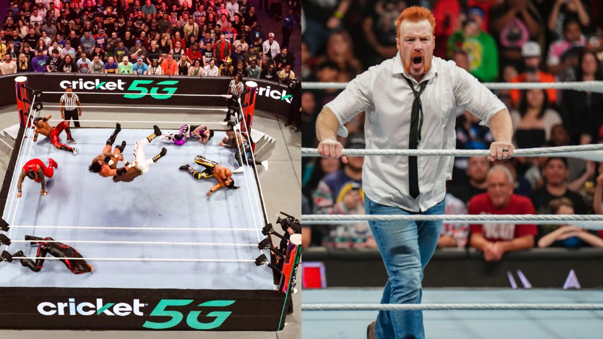 WWE Royal Rumble मैच में कई इतिहास बनते हैं (Photos: WWE.com)