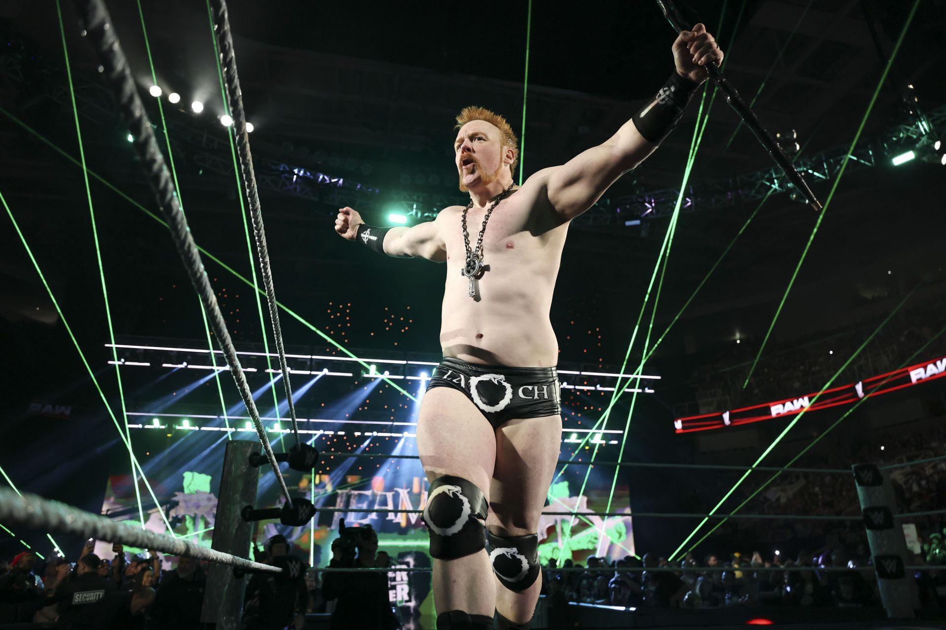 Sheamus Royal Rumble Appearances