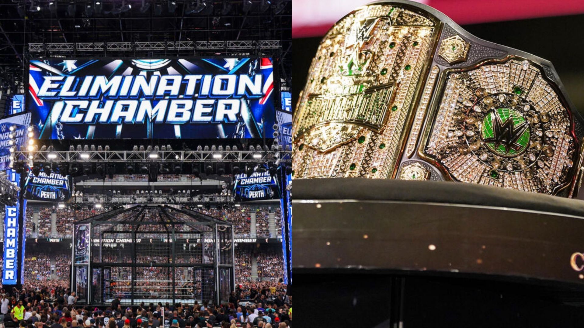 The World Heavyweight Championship will not be defended at Elimination Chamber (Photo credit: WWE.com)