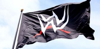 WWE का मौजूदा चैंपियन हुआ चोटिल, टाइटल छोड़ने के लिए किया जा रहा है मजबूर, फ्यूचर पर लटकी तलवार?