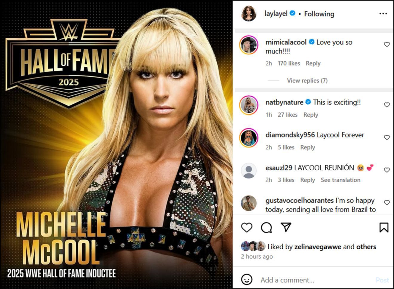 Screenshot of Michelle McCool&#039;s comment on Layla&#039;s post (Photo Credit: Layla on Instagram)