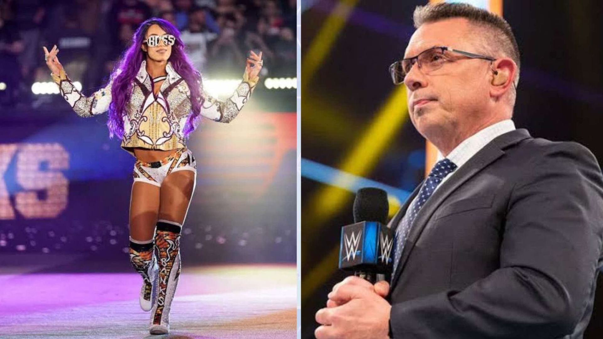 Sasha Banks and Michael Cole