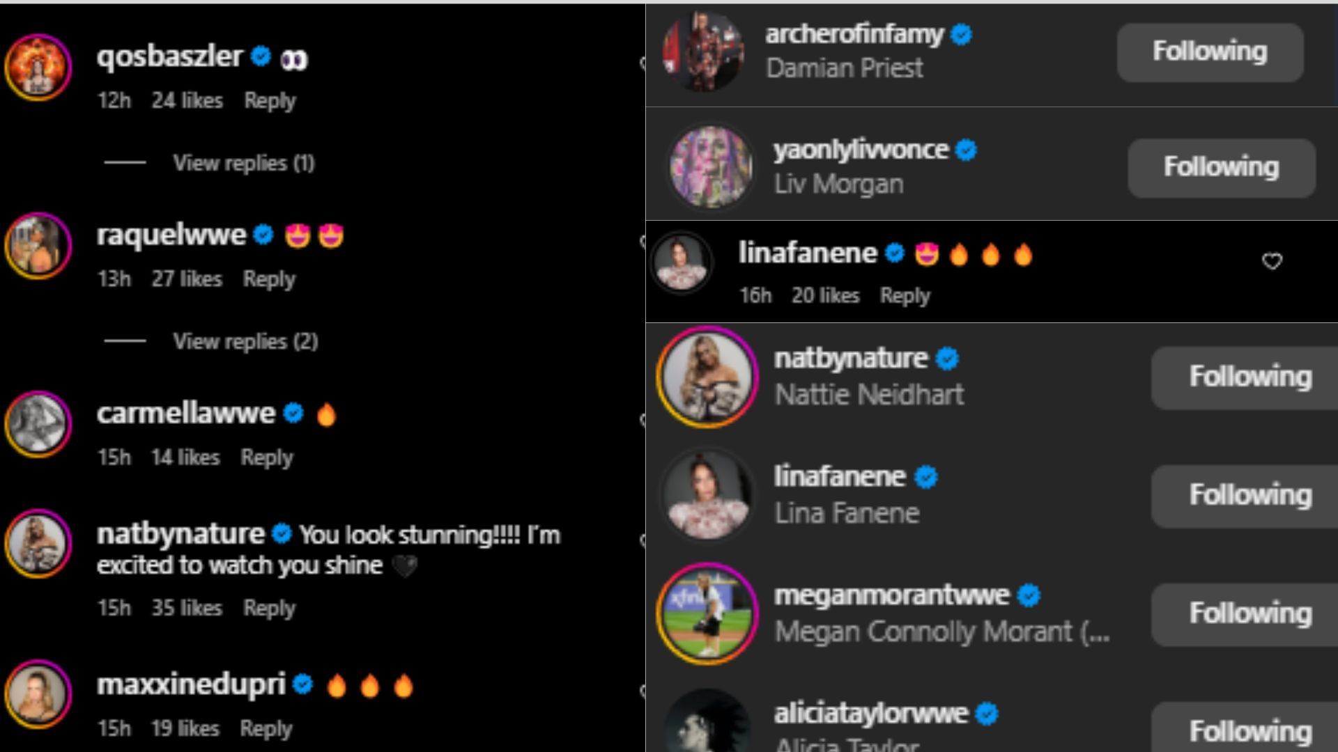 Damian Priest, Liv Morgan, Nia Jax, Natalya, etc. all showed love (Credit: Sonya Deville&#039;s Instagram)