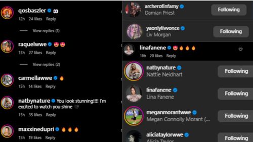 Damian Priest, Liv Morgan, Nia Jax, Natalya, etc. all showed love (Credit: Sonya Deville's Instagram)