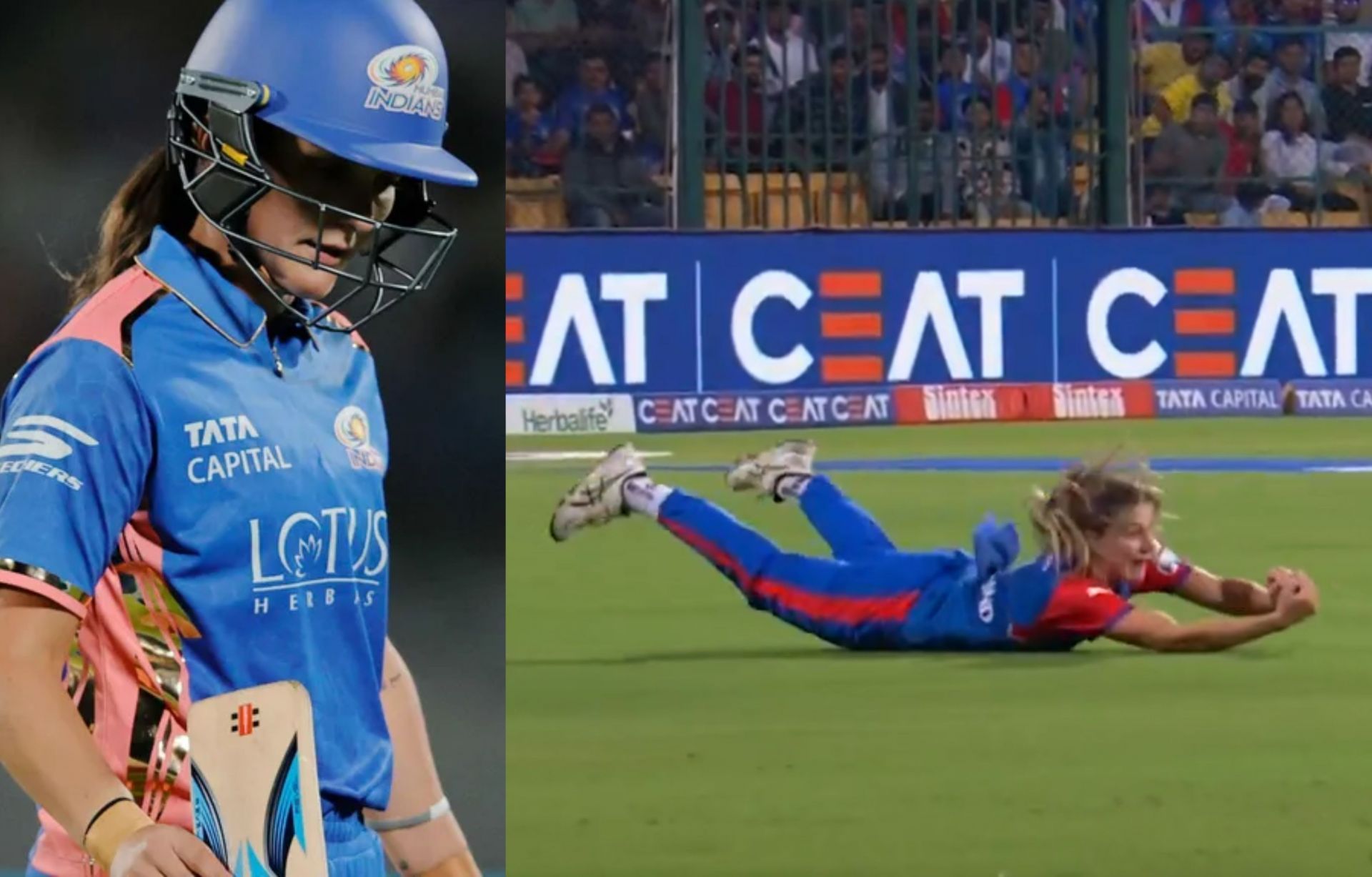 Annabel Sutherland took a stunner to dismiss Amelia Kerr. (Images: wplt20.com and wplt20/X)