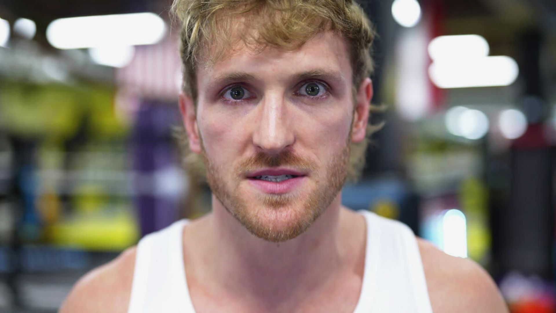 Will Logan Paul headline WrestleMania 41? [Photo credit: WWE]