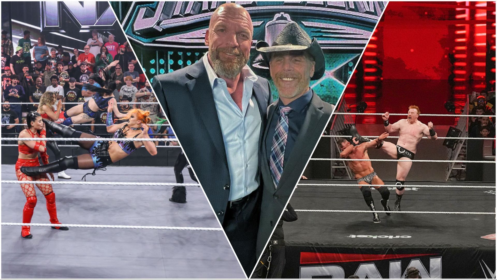 WWE Superstars in action, Triple H and Shawn Michaels