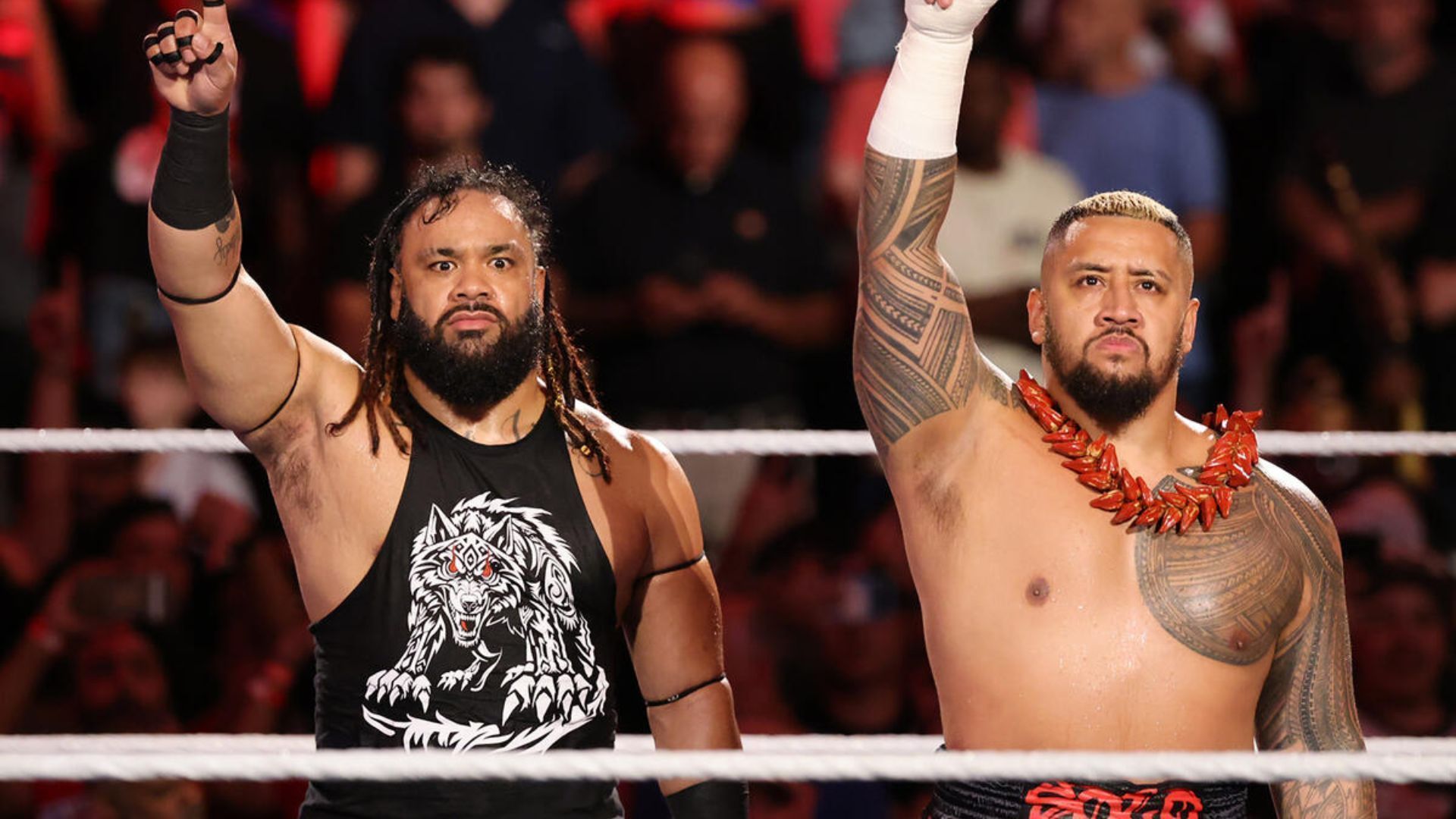 Jacob Fatu and Solo Sikoa have tensions brewing [Image: WWE.com]