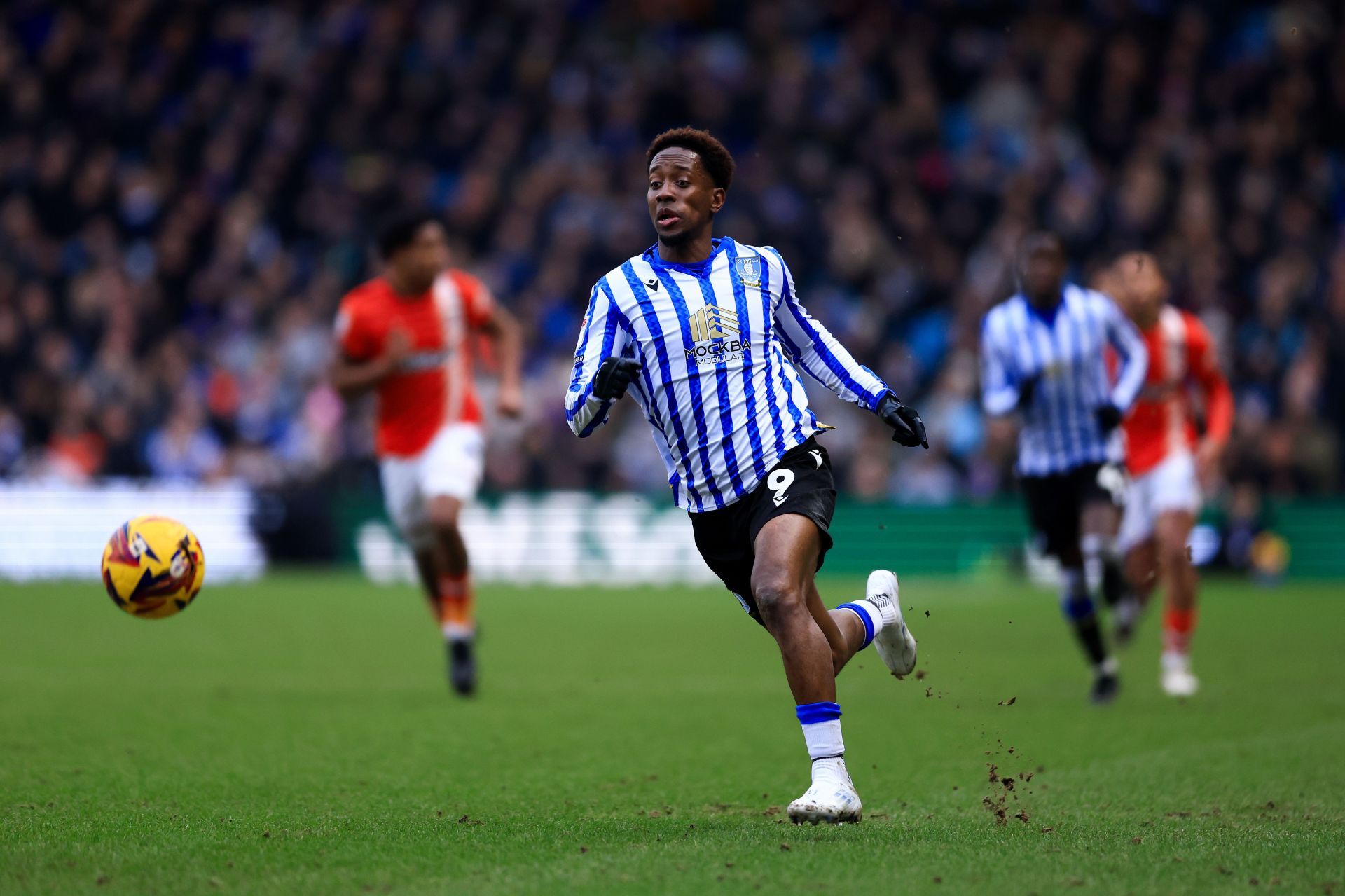 Sheffield Wednesday FC v Luton Town FC - Sky Bet Championship - Source: Getty