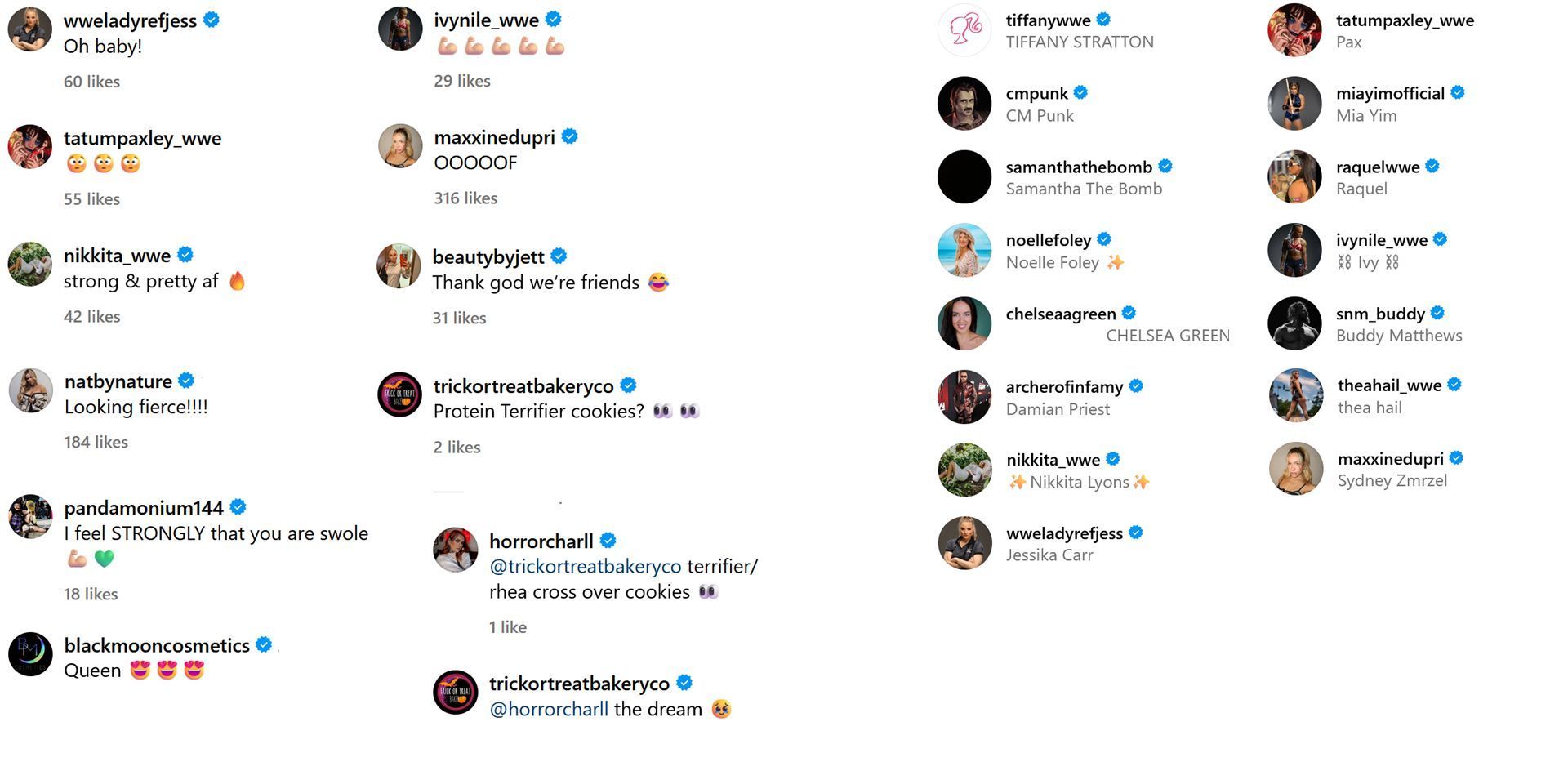 Screenshot of wrestler reactions to Rhea Ripley&#039;s photo (Photo Credit: Rhea Ripley/Instagram)