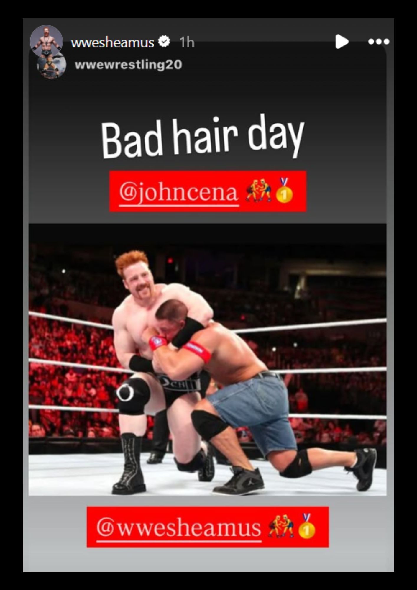 Sheamus shares a fan-made post [Image via Instagram]