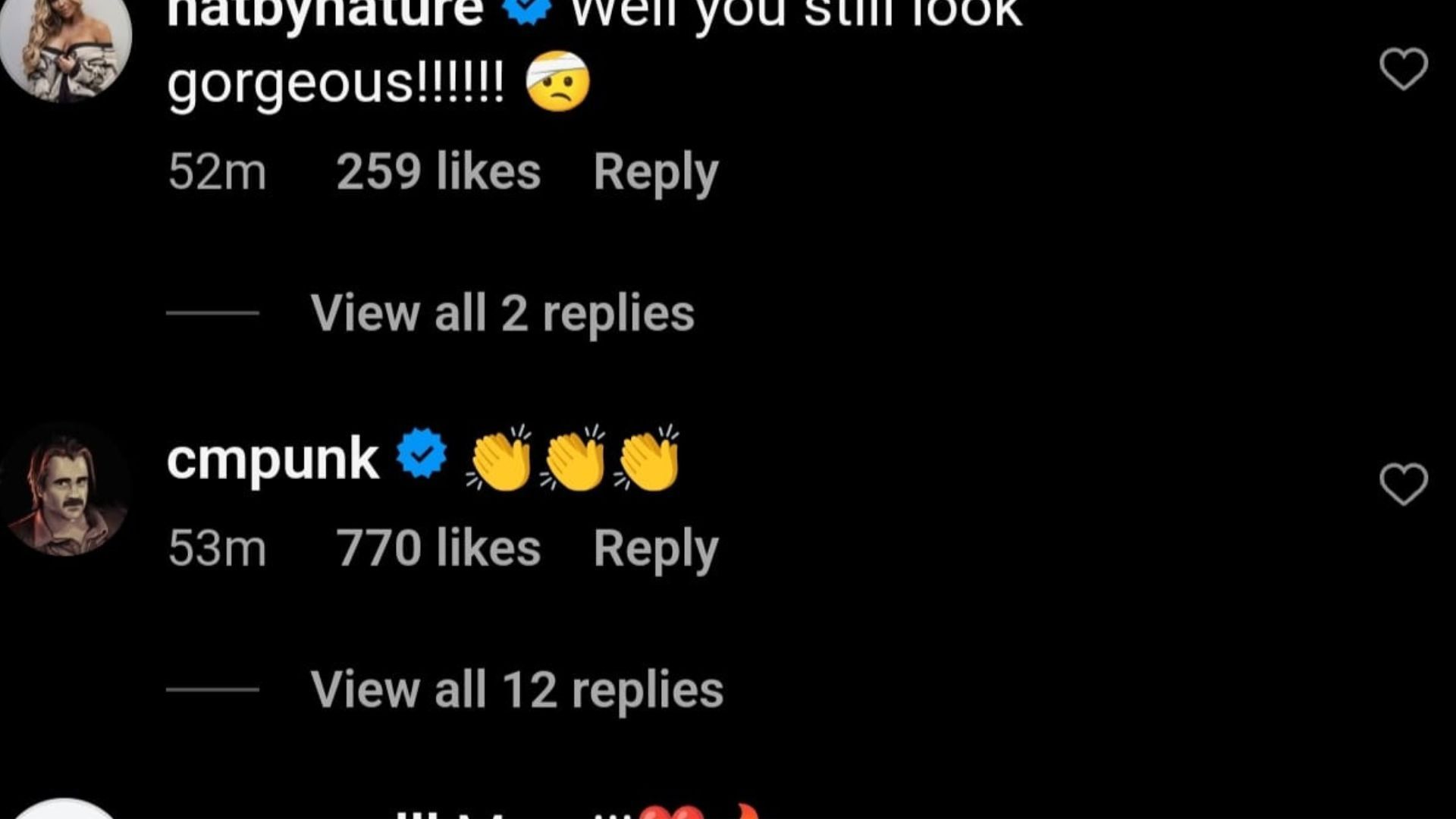 Screengrab of Punk&#039;s comment.