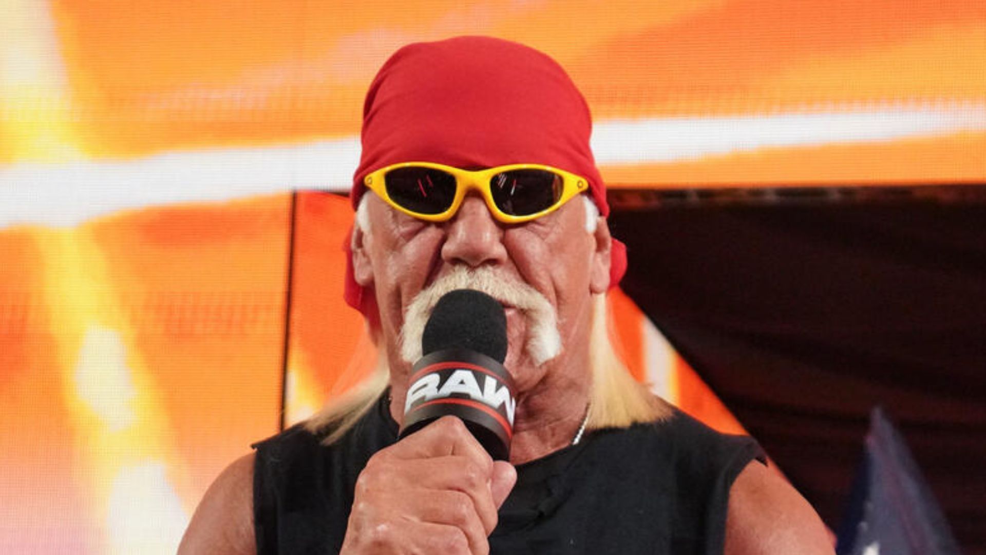 Hulk Hogan on RAW