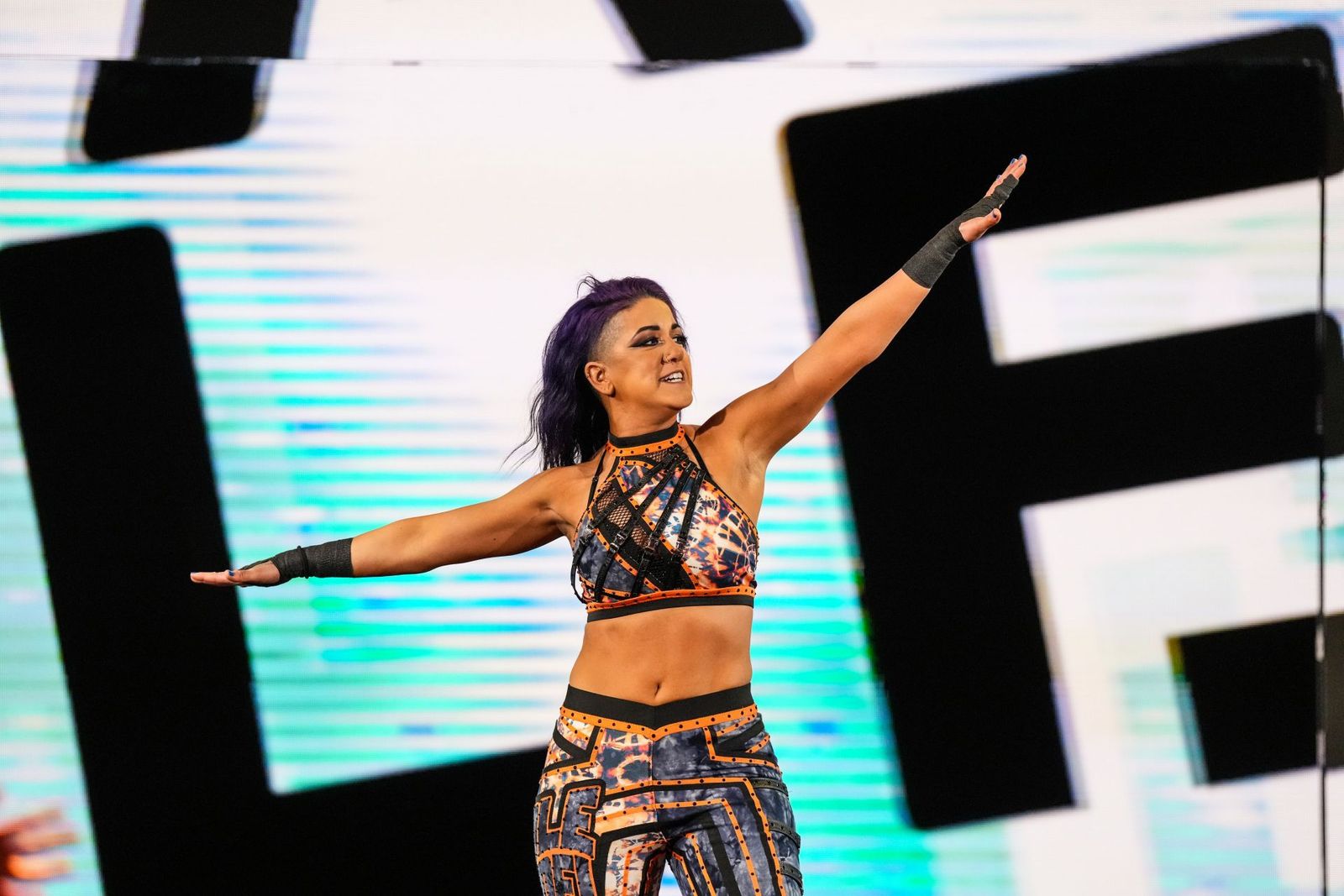 Bayley Elimination Chamber appearances