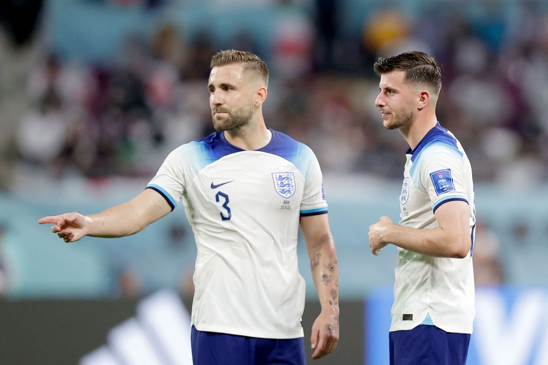 Luke Shaw and Mason Mount