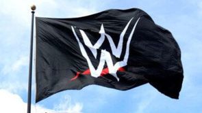 4-time WWE champion details post-retirement plans