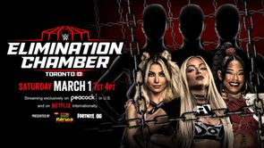 WWE champion breaks silence after qualifying for Elimination Chamber match on SmackDown