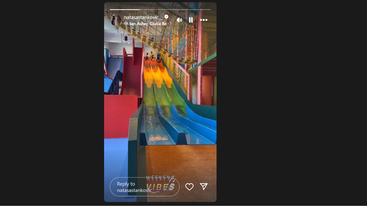 नताशा स्टेनकोविक ने शेयर की इंस्टाग्राम स्टोरी (photo credit: instagram/natasastankovic__)