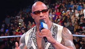 Does The Rock own WWE?