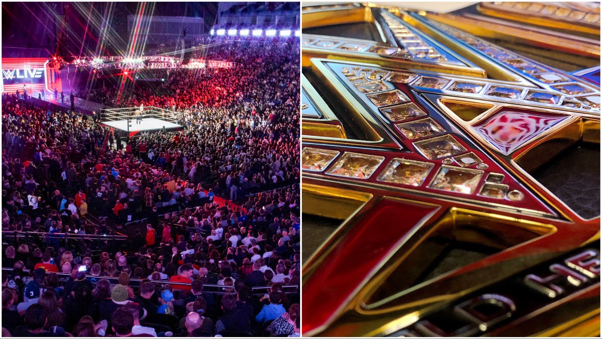 WWE Superstars and the WWE Universe at a live event