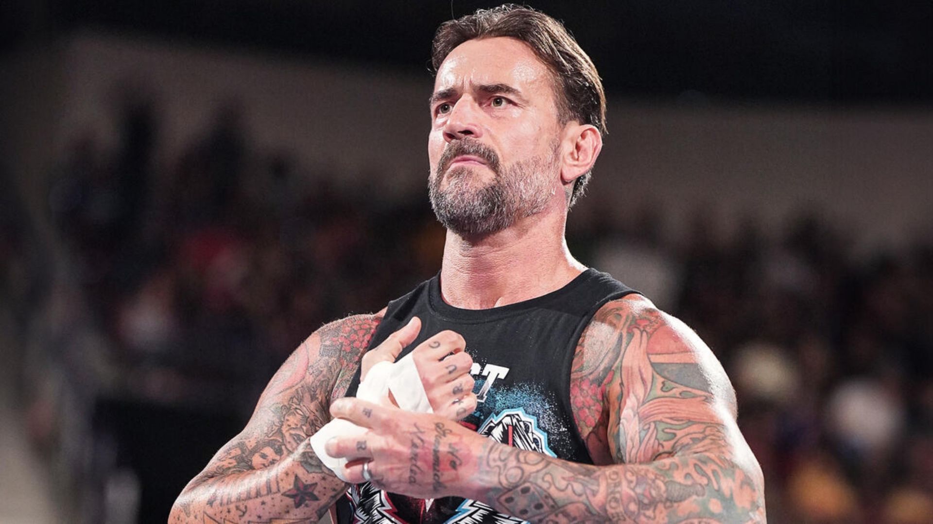 CM Punk (Image credit: WWE.com)