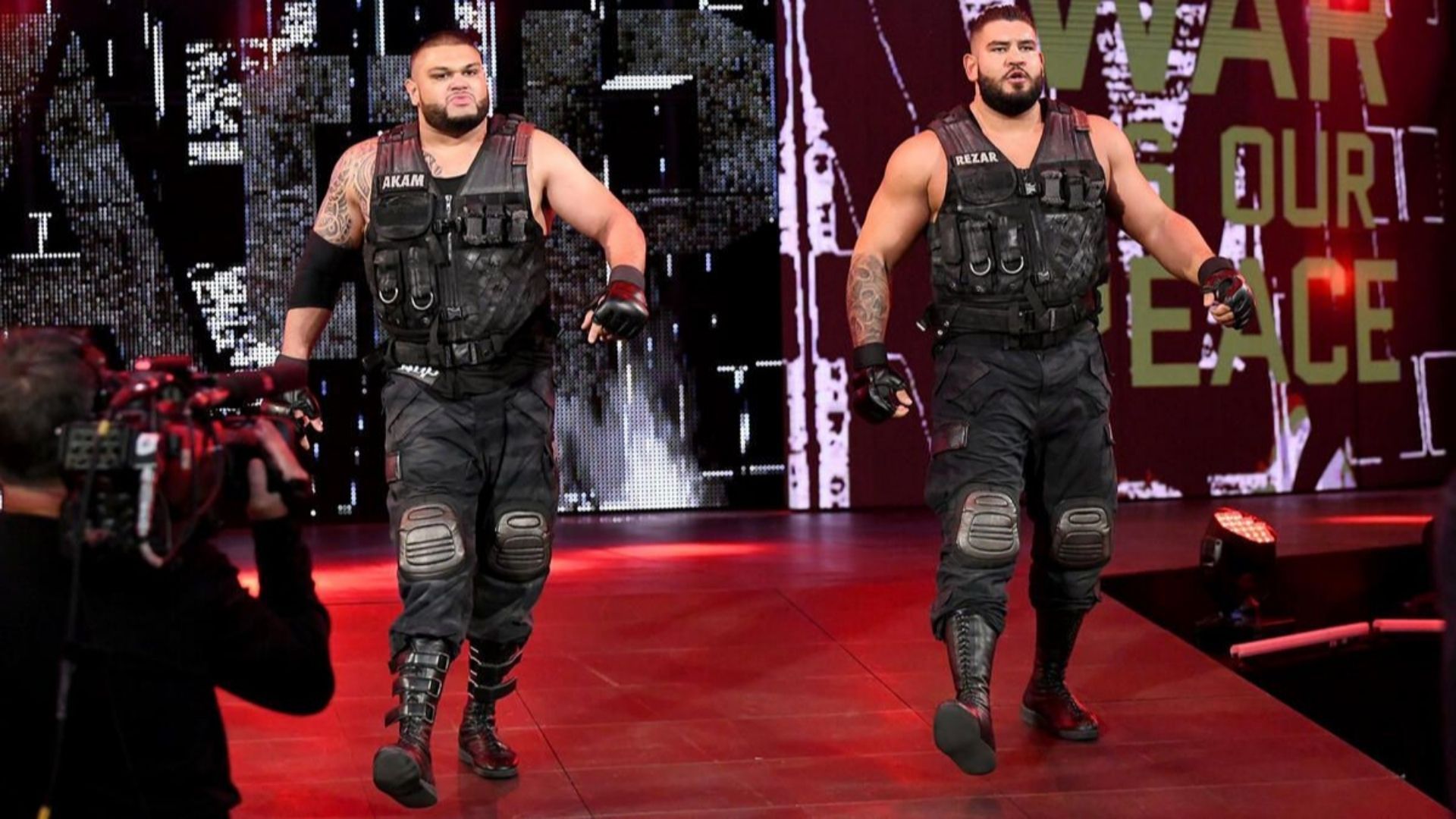 Authors of Pain in WWE (Image via wwe.com)