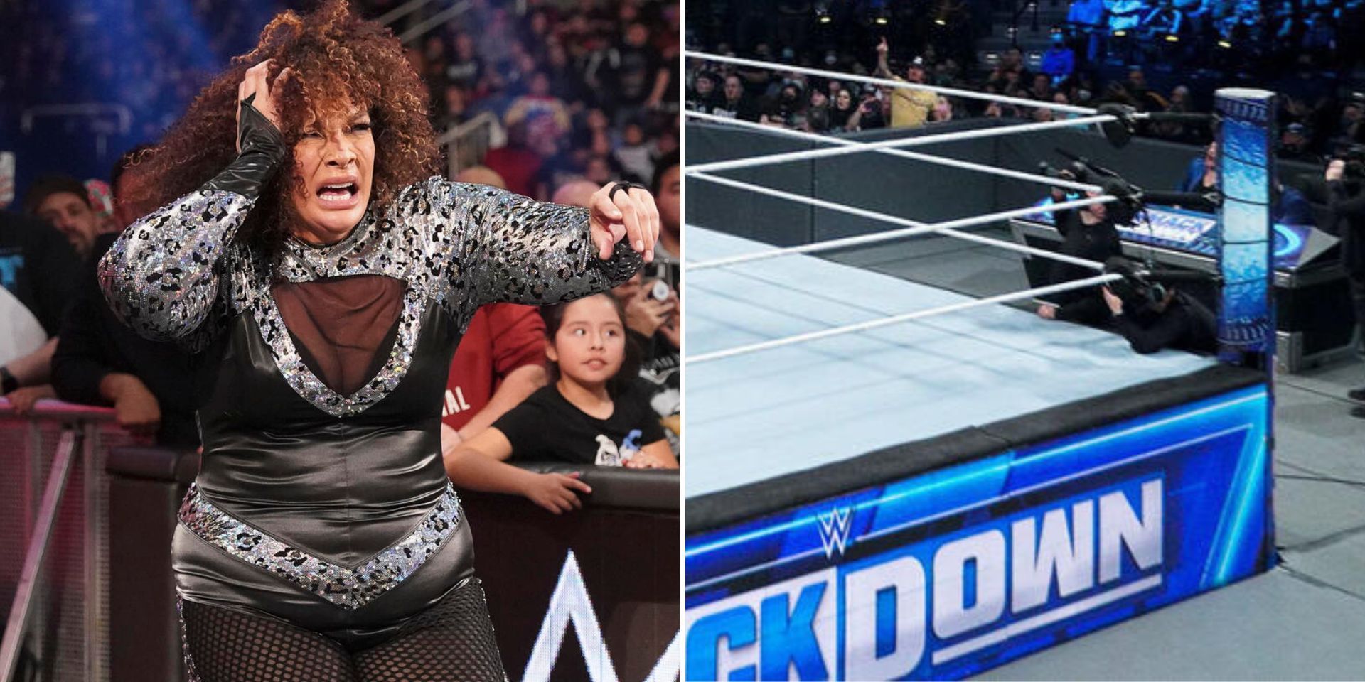 Nia Jax competed for a title on SmackDown (Images via WWE.com)