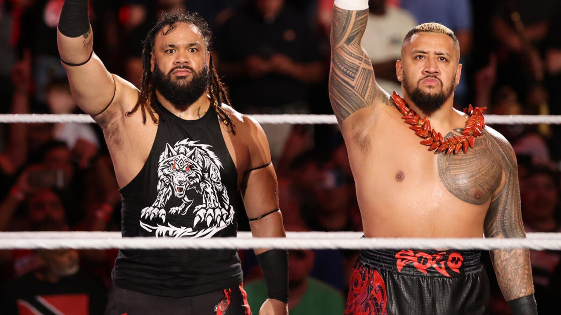 Jacob Fatu and Solo Sikoa are not on the same page anymore [Image credits: WWE.com]