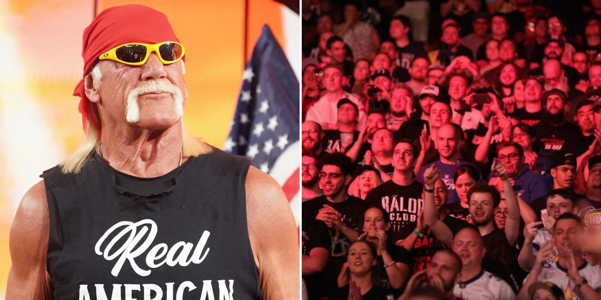 Hulk Hogan was heavily booked on RAW last month (Images via WWE.com)