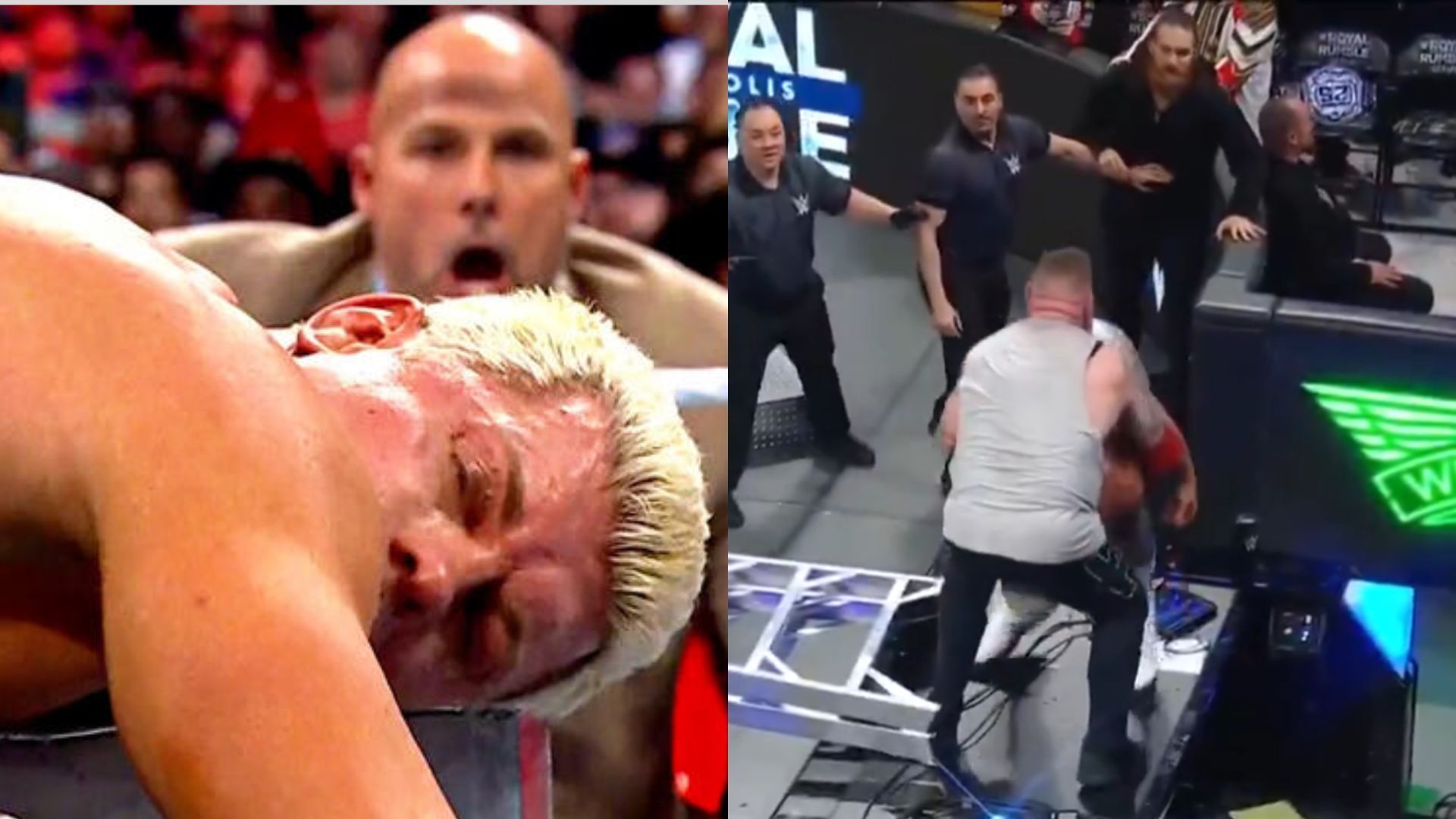 The star is hurt (Credit: WWE.com and WWE Royal Rumble)