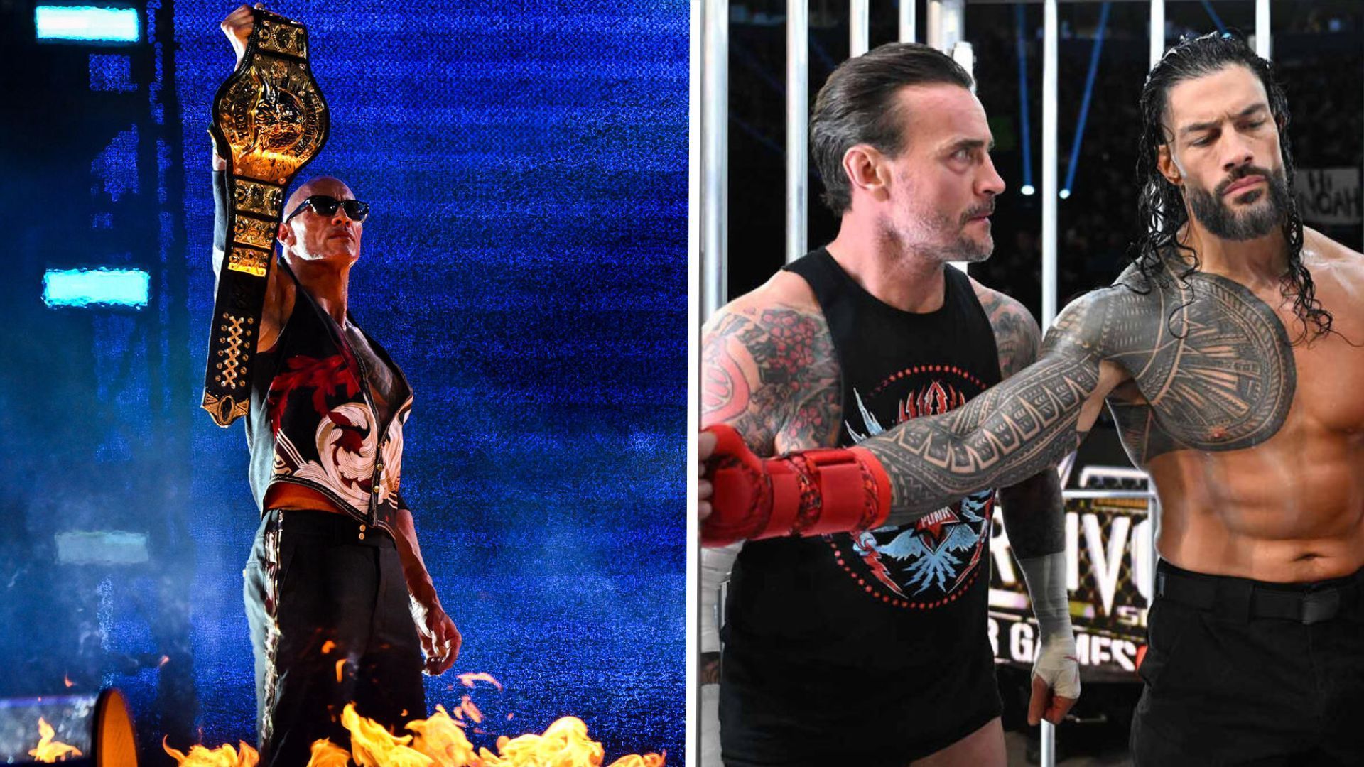 The Rock and CM Punk has an extensive WWE history [Image Credits: WWE.com]