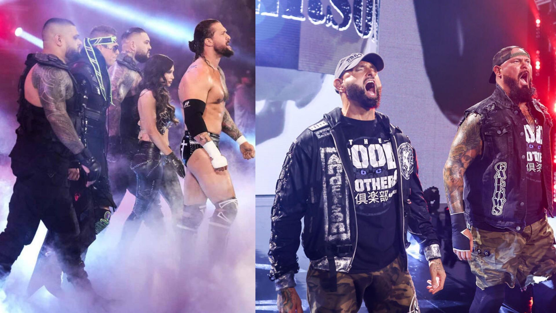 WWE से रिलीज होने वाले यह रेसलर्स AEW के साथ काम कर सकते हैं (Photos: WWE.com)