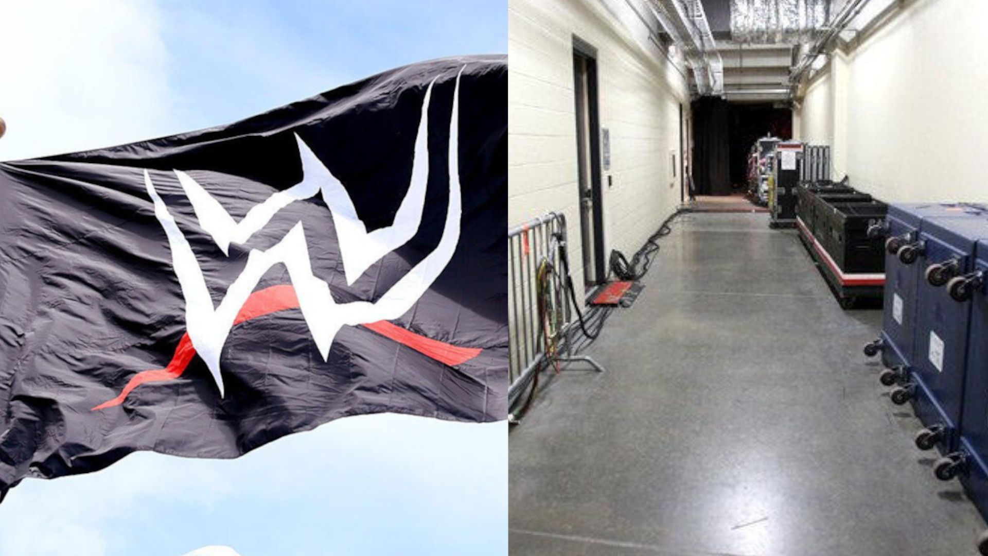 WWE flag