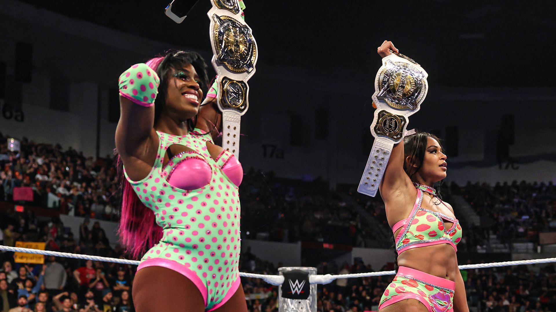 Bianca Belair and Naomi were tag champions for months (Image via WWE.com)