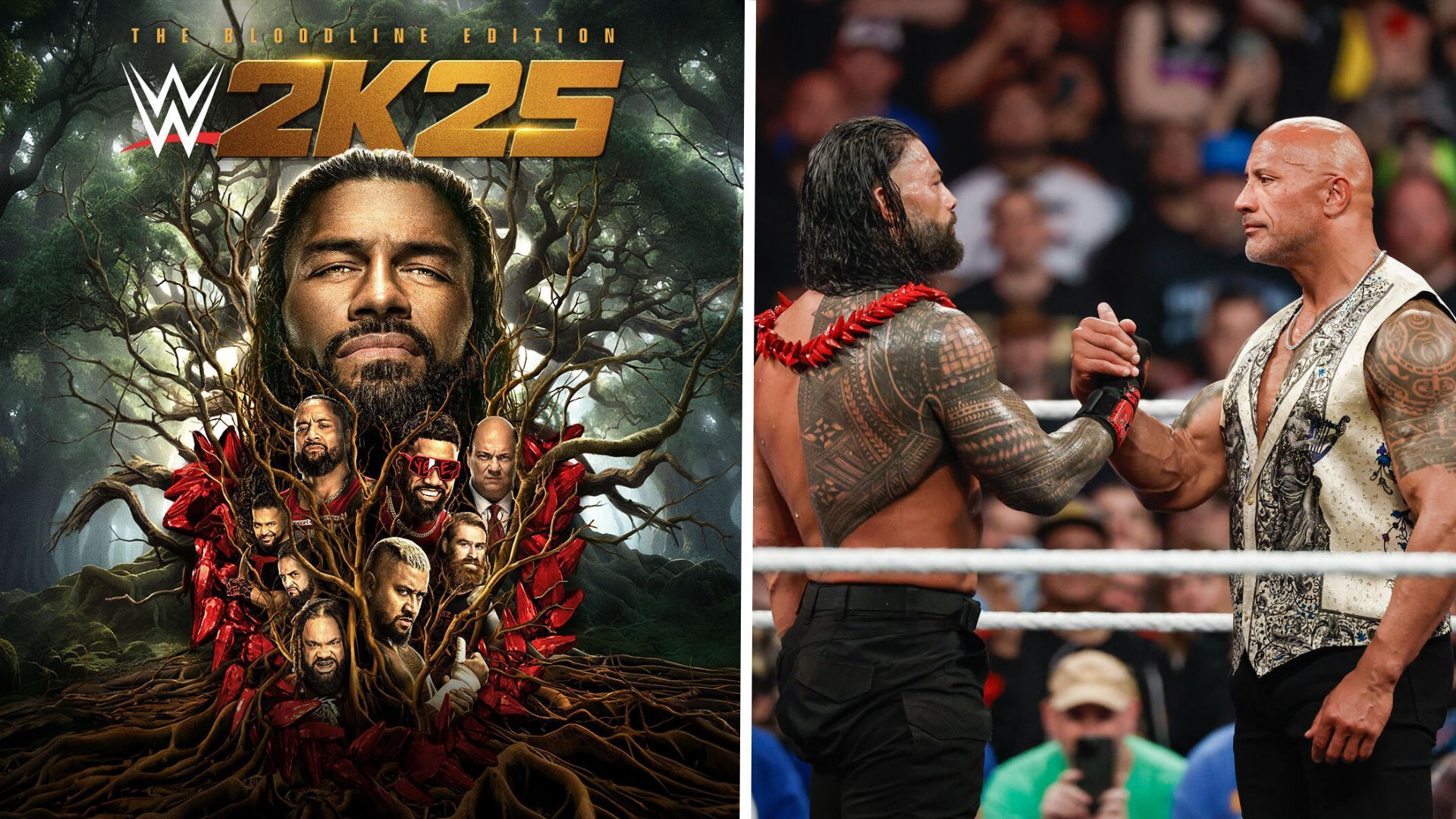 The Bloodline will grace the covers of WWE 2K25 [Image Credits: WWE.com]