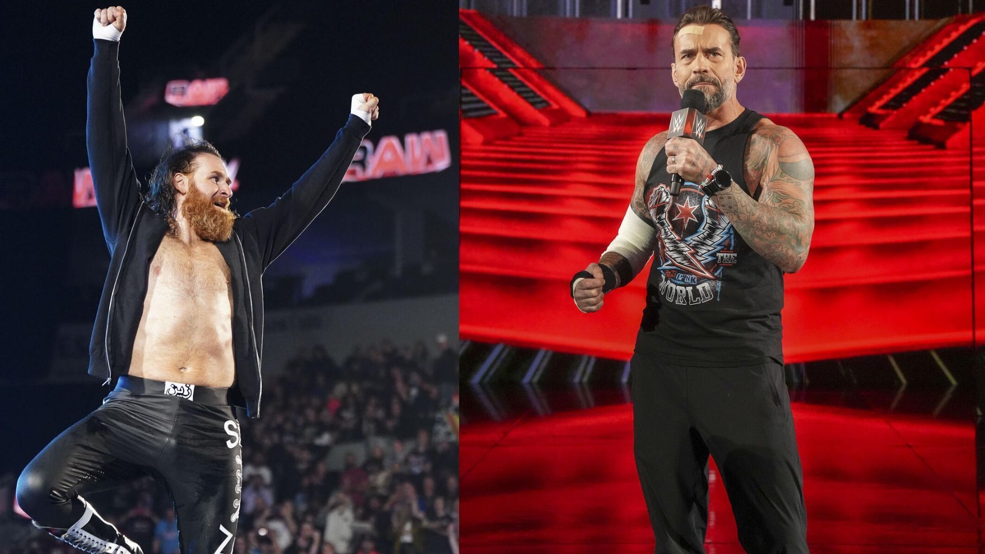 Sami Zayn and CM Punk on WWE RAW (Image via WWE.com)