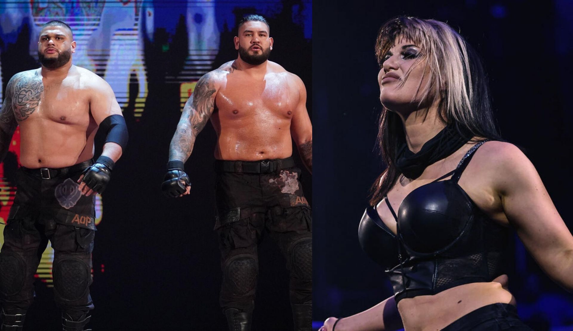 WWE ने कुछ स्टार्स को रिलीज किया (Photo: WWE.com)