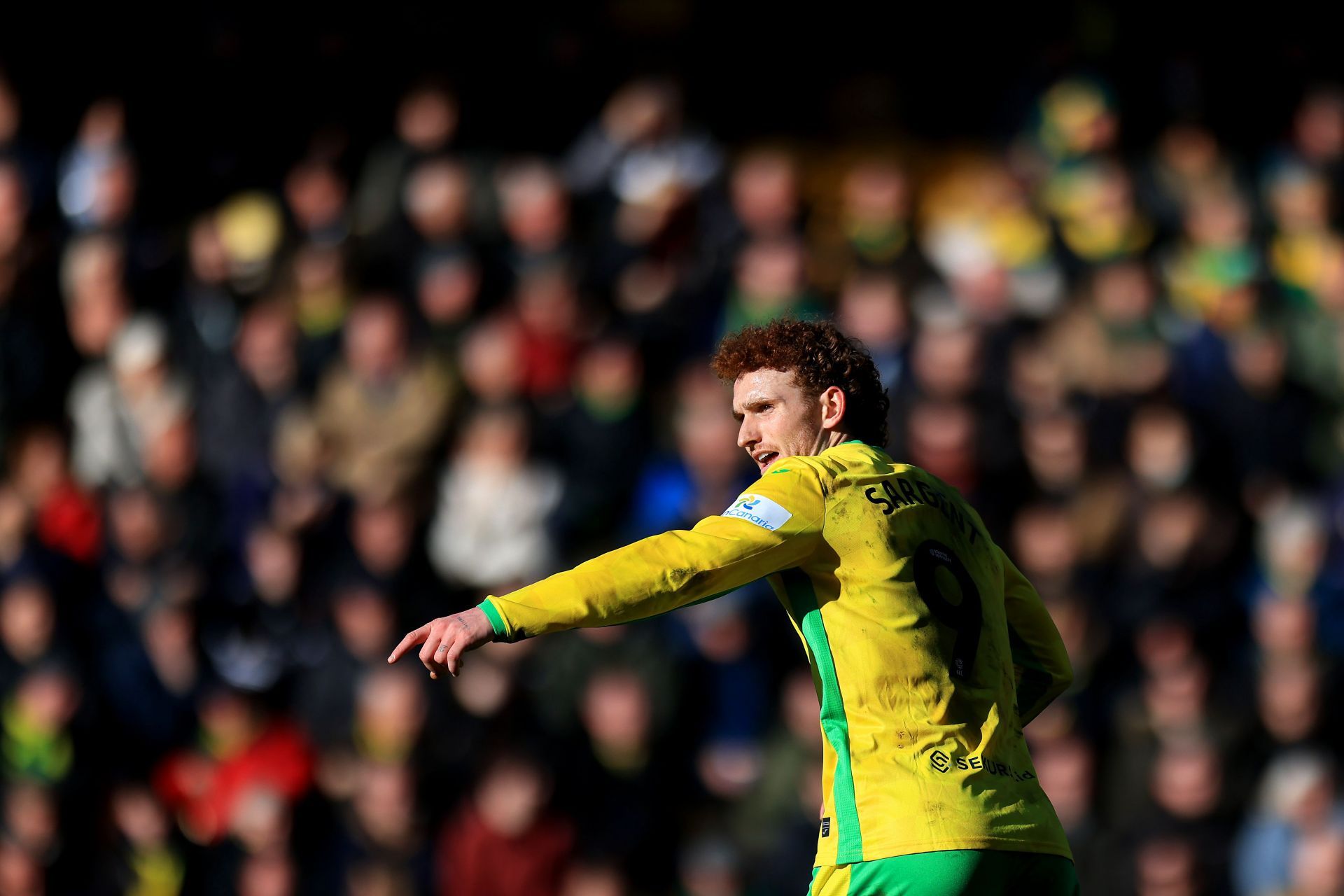 Norwich City FC v Swansea City AFC - Sky Bet Championship - Source: Getty