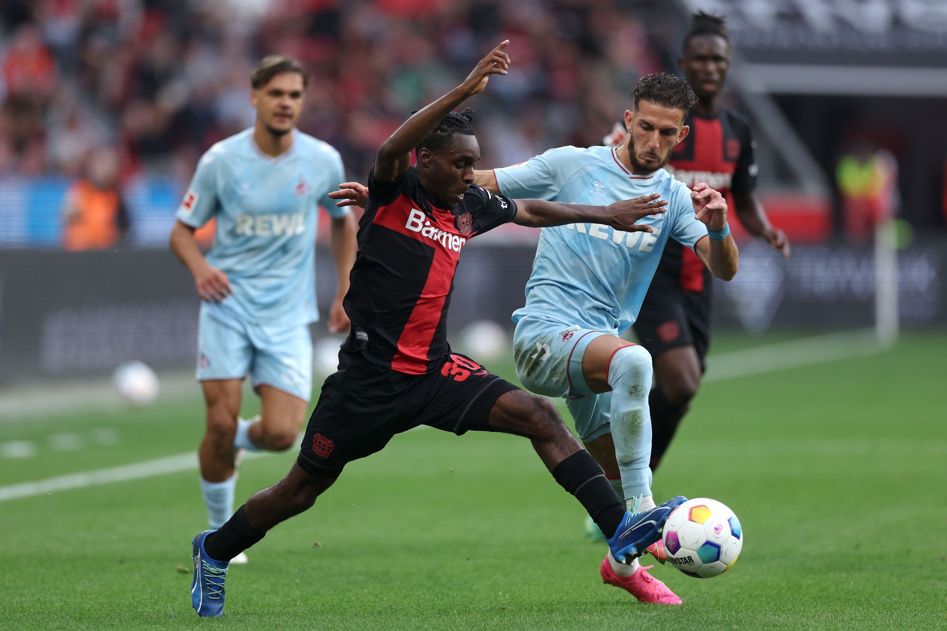 Bayer 04 Leverkusen v 1. FC K&ouml;ln - Bundesliga - Source: Getty