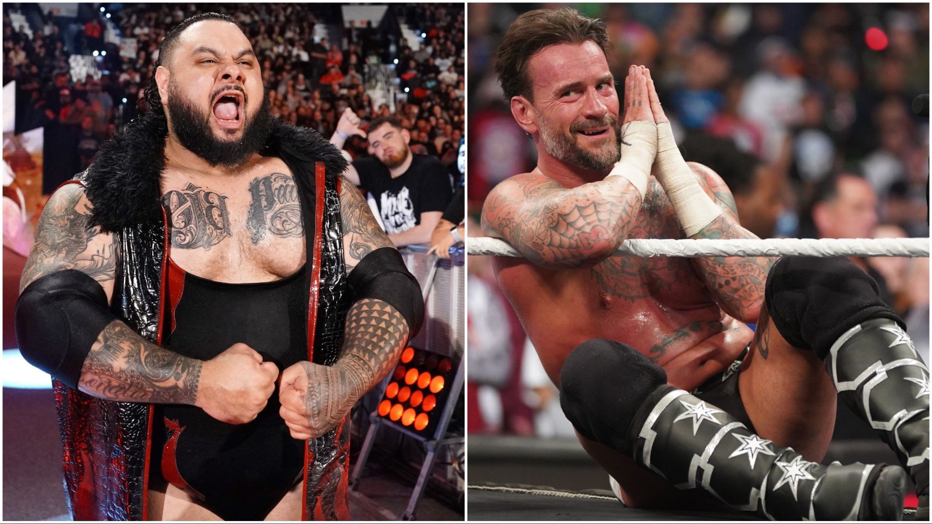 Bronson Reed and CM Punk in action for WWE