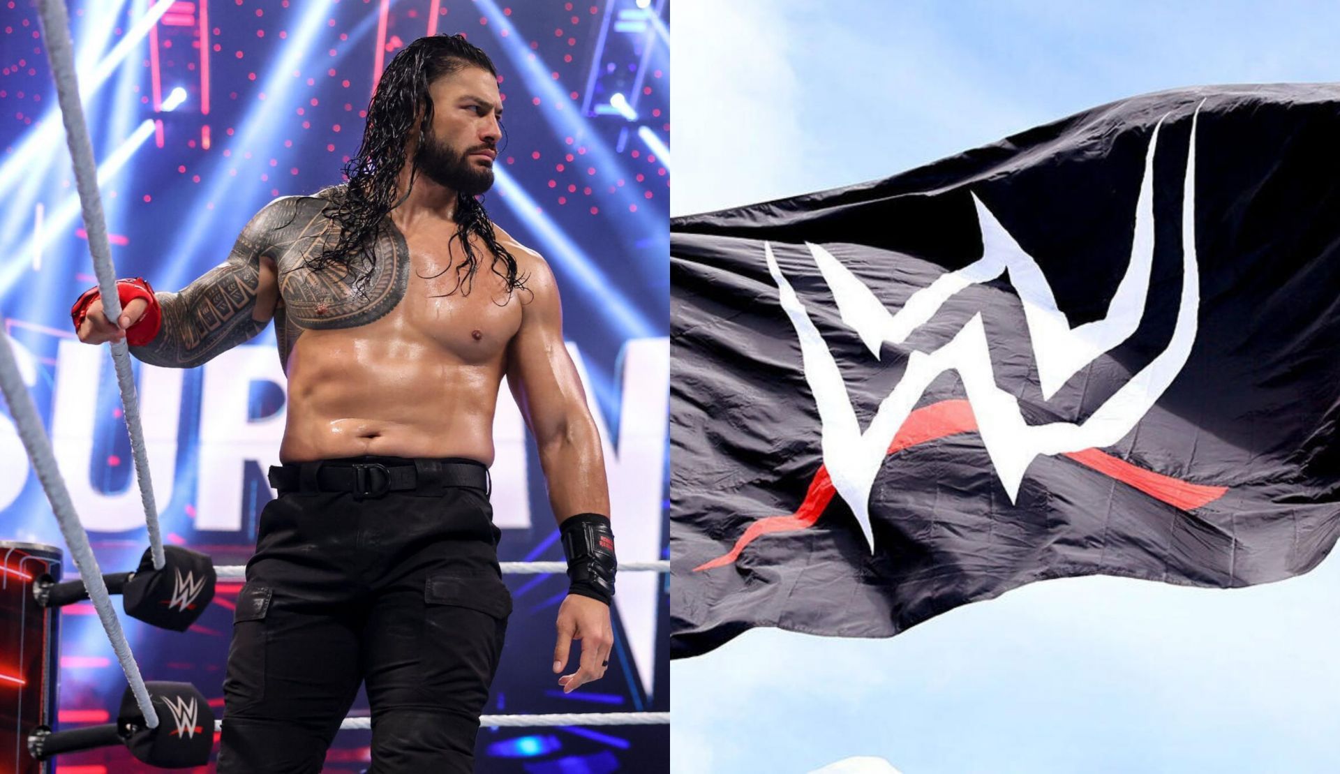 स्टार्स की सैलरी का खुलासा (Photo: WWE.com)