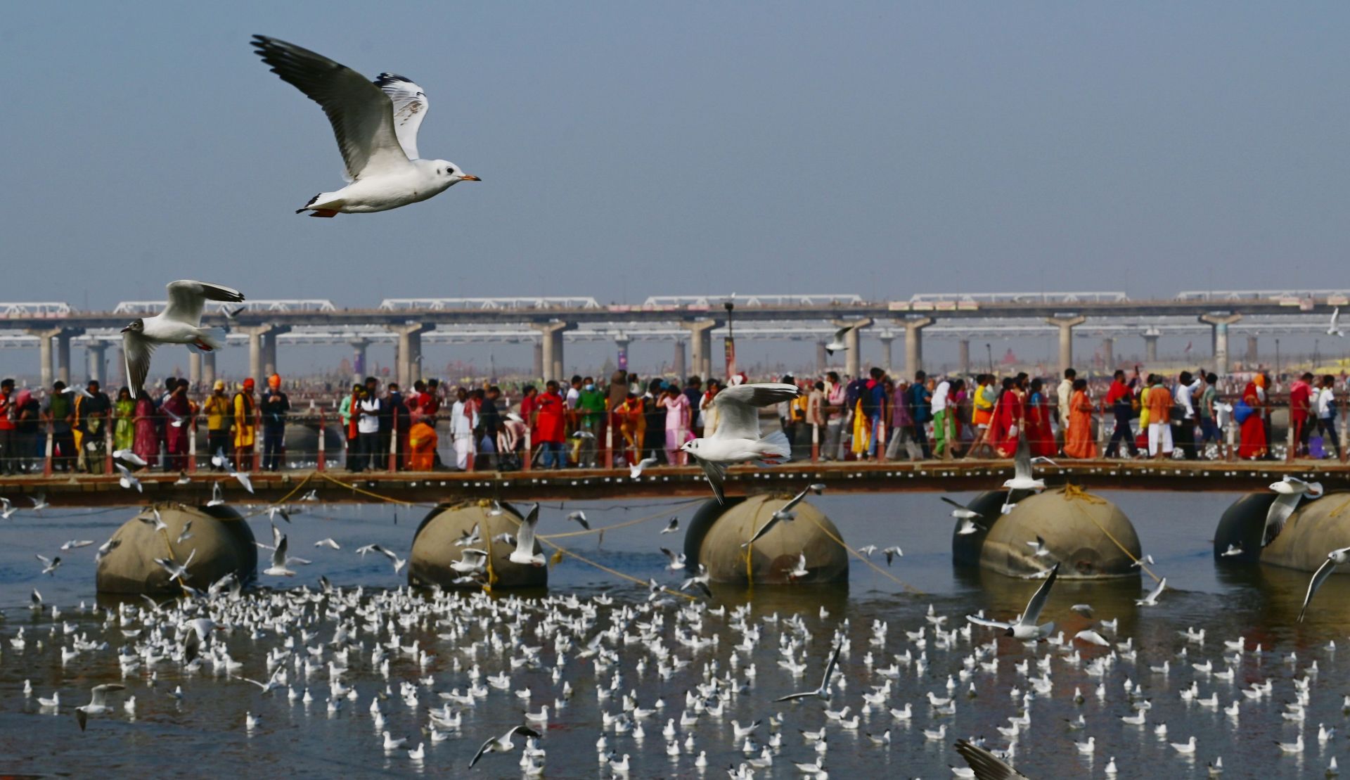 Maha Kumbh Mela 2025 In Prayagraj - Source: Getty