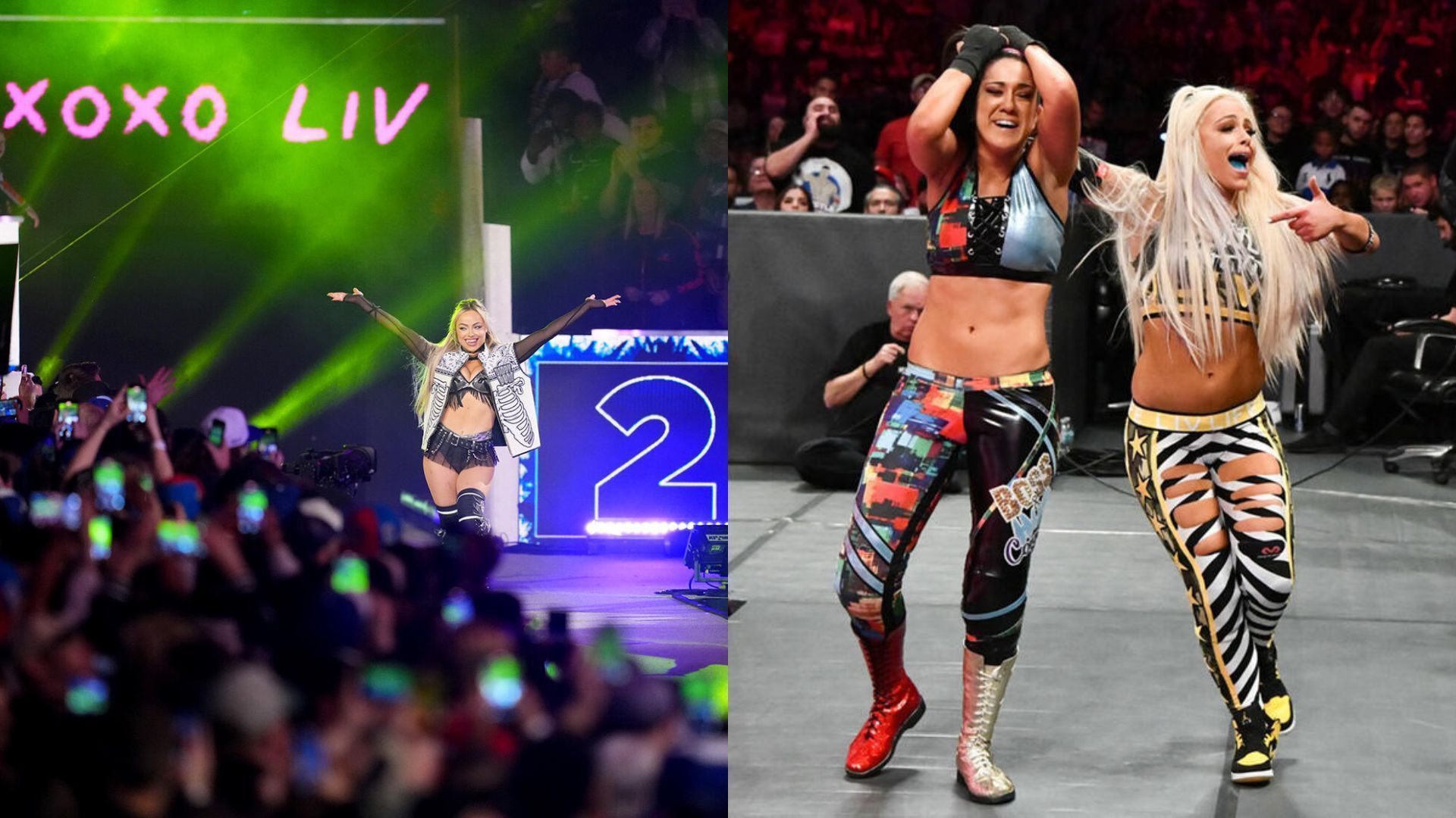 Liv Morgan and Bayley have shared the ring on a few occasions (Image Credits: WWE.com)