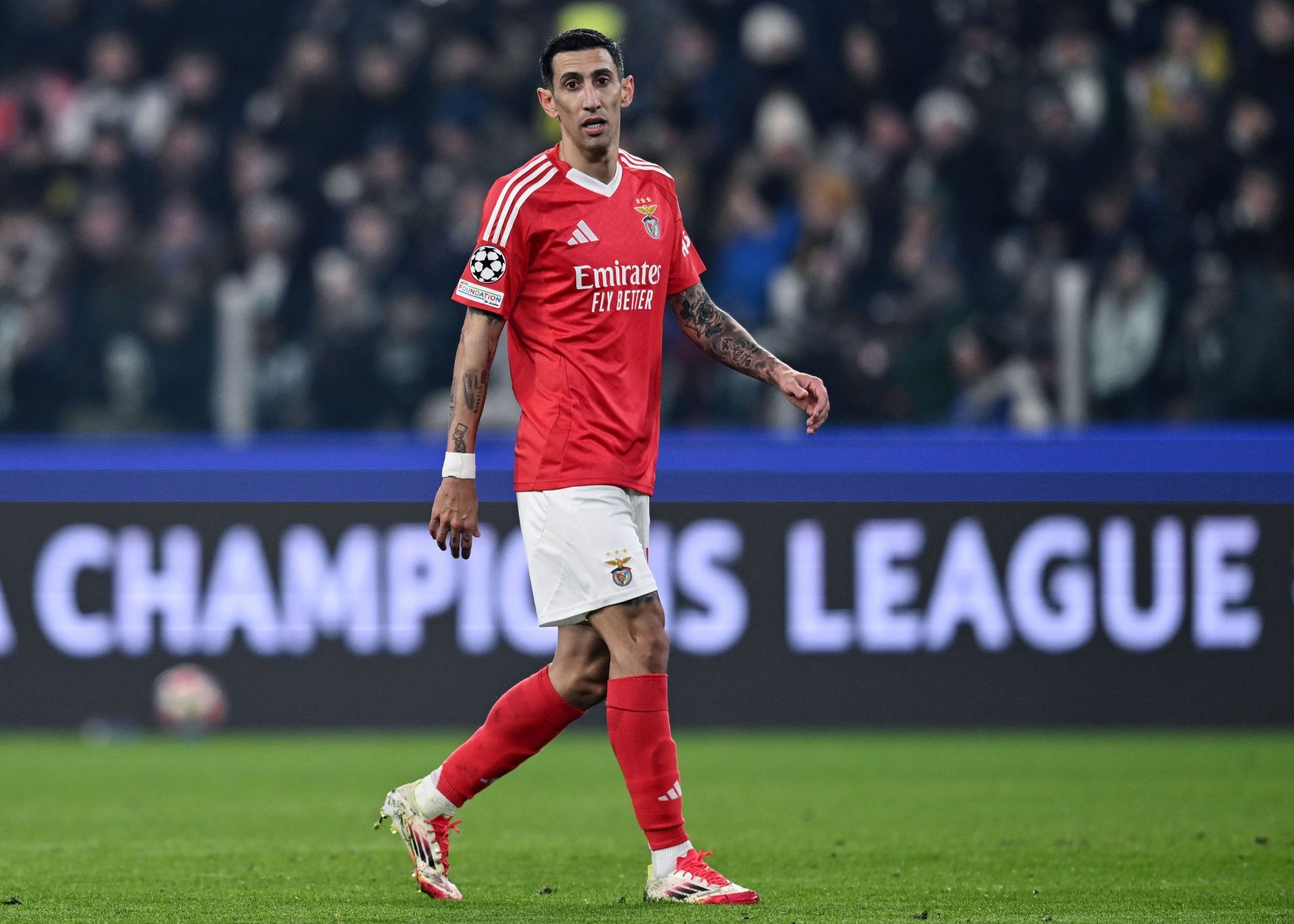 Juventus v SL Benfica - UEFA Champions League 2024/25 League Phase MD8 - Source: Getty