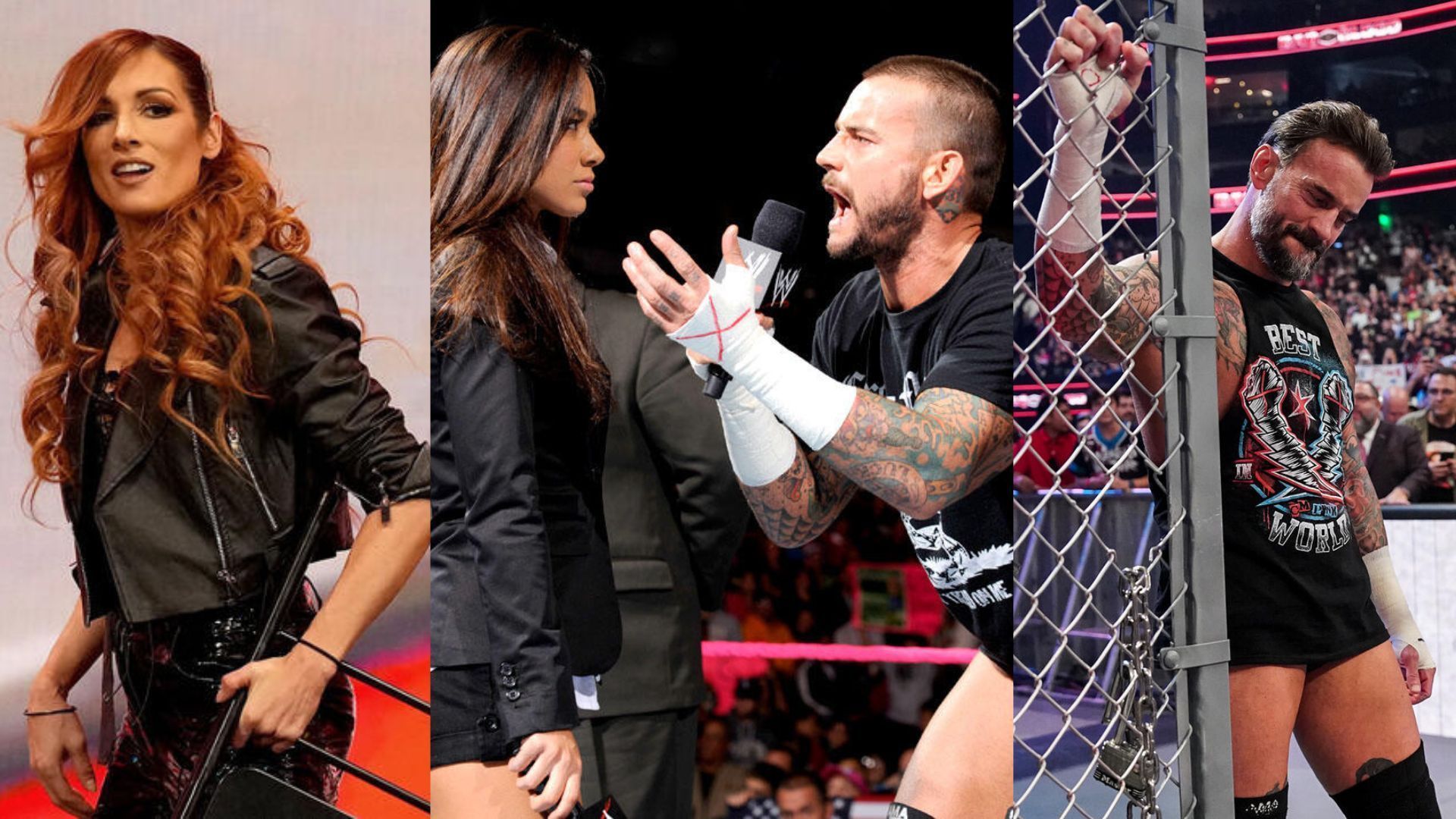 Becky Lynch, AJ Lee &amp; CM Punk, and CM Punk (Image Credits: WWE.com)