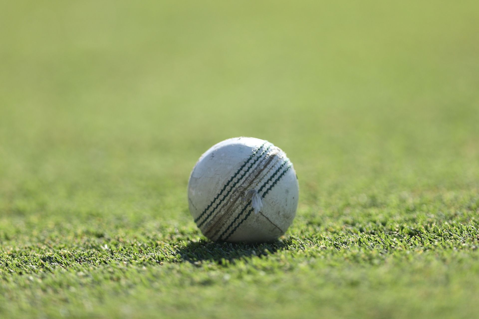 WNCL - NSW v SA - Source: Getty